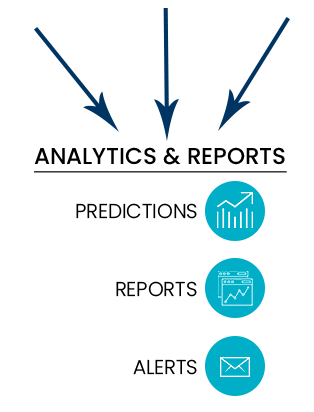 Analytics reports